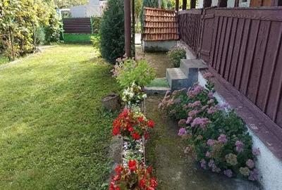Casă cu 2 camere cu Teren 2000 Mp în Dumbrava (Unirea) - 10