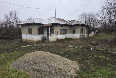 Casă cu 1 camere în Ibrianu - 3