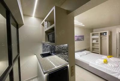 2 garsoniere de vacanta de vanzare - 8