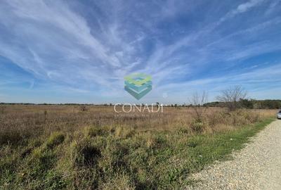 Teren Construcții intravilan de 7500 mp, în Băneasa