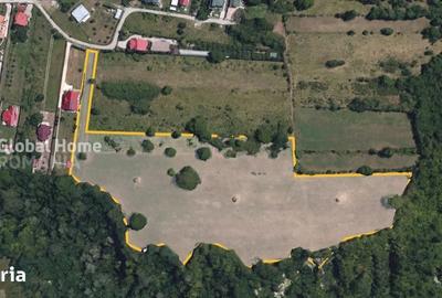 Teren de 23345 mp, în Cornu - 5