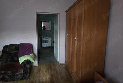 Casă cu 3 camere cu Teren 2500 Mp în Pietroasa - 2