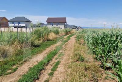 ???? Teren de vanzare, partial intravilan Izvor, Tarlu - 8