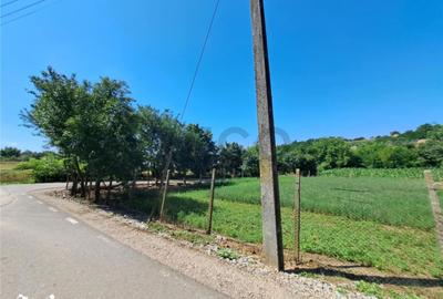 Casă cu 4 camere cu Teren 1439 Mp în Central - 2