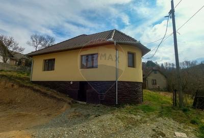 Casă individuală cu 3 camere cu Teren 2497 Mp în Central - 16