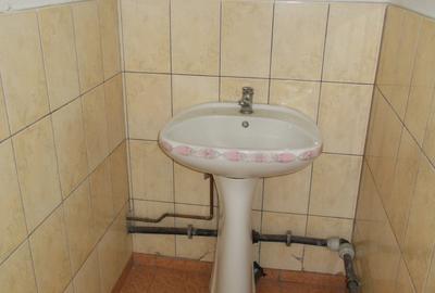 Inchiriez hala situata in Lazaret,200m,pretabila spalatorie,service - 9