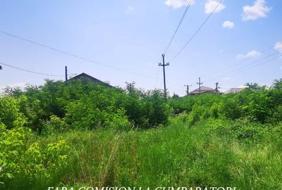 TEREN 2510 MP, PRETABIL DEZVOLTARE REZIDENTIALA - 2