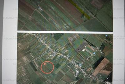 Teren 6.797mp Tartasesti 9850 eur - 2