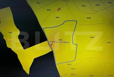 Teren extravilan 1.5 hectare, pretabil investitie, zona Sala - 1