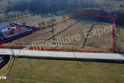 Spațiu comercial, în Valea Brazilor - 7