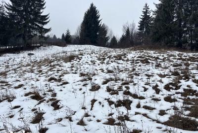 Teren de 13050 mp, în Central