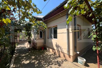 Proprietate formata din doua case si 1087 mp teren, zona Carcea