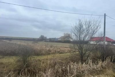 Teren de 2800 mp, în Satulung - 4