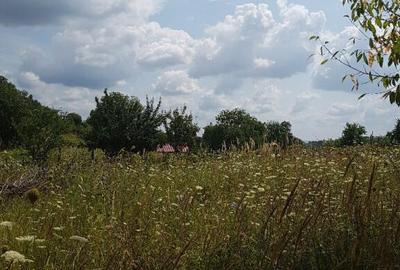 Parava, sat Dragusani, teren 4800mp, la asfalt - 16