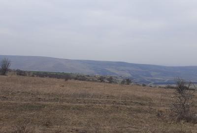 Teren agricol pentru investitii, zona Valea Calda -Iris - 8