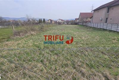 Teren de 1050 mp, în Cetate