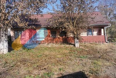 Casa individuala 100mp cu teren 8000mp - 5