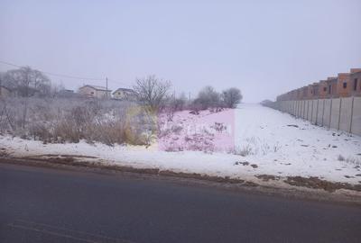 Teren de 12300 mp, în Domnești