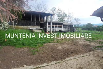 Casă cu 4 camere în Băjești - 14