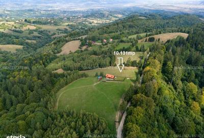 Spațiu comercial, în Sohodol - 4