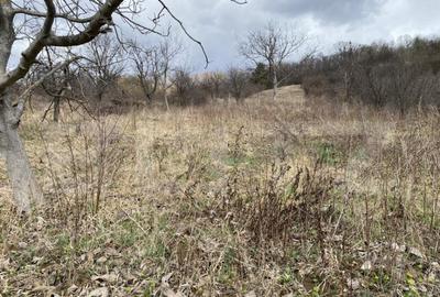 Teren intravilan in suprafata de 2000 mp, zona Episcopiei - 2