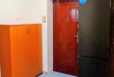 INCHIRIERE GARSONIERA SEBASTIAN - RAZOARE - 6