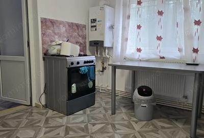 Casă cu 2 camere cu Teren 780 Mp în Simeria - 8