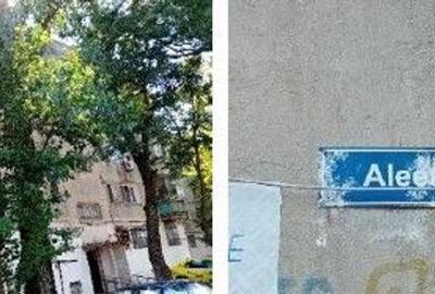 Apartament 3 camere Bucuresti, ID: R2755475 - 5