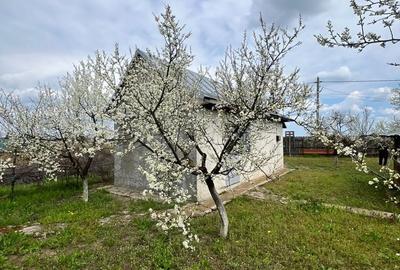 Casă cu 2 camere în Cojești - 2