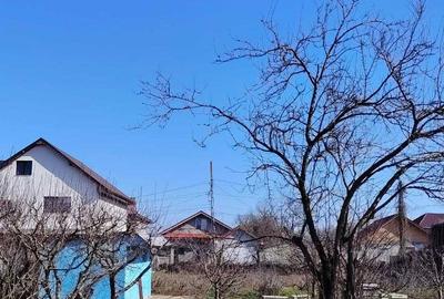 Spațiu comercial, în Limanu - 2