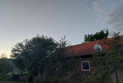 Casă cu 3 camere în Goruia - 3