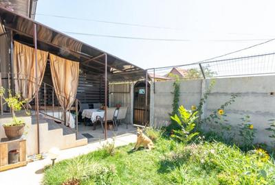 Vila duplex Pantelimon - 20
