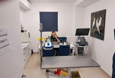 Spațiu comercial, de 187 mp, în Aviației - 5