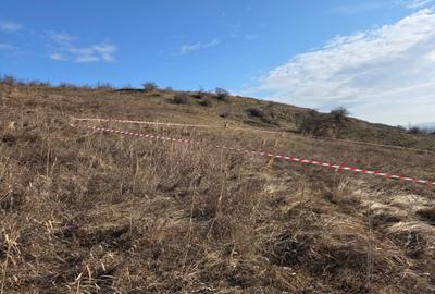 Teren de 564 mp, în Iris - 5