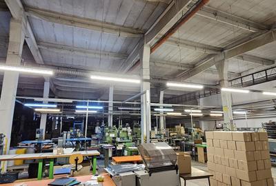 Spatiu industrial, hala, 3500 mp, Buftea, 3.5 euro/mp - 2
