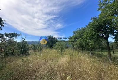 Teren + Casa de Vanzare - 1170 mp - Dumbrava Rosie, Neamt - 6