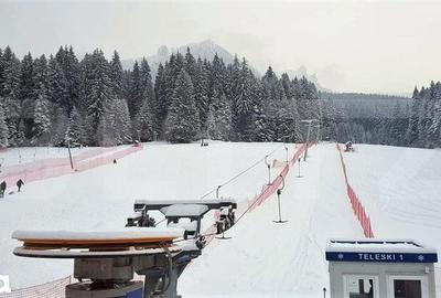 Spațiu comercial, de 500 mp, în Bucium - 6