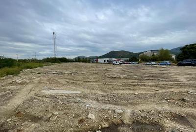 Teren intravilan, investie Hale Industriale, zona Est - 2