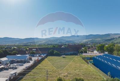 Teren Industrial, 3300 mp, / DJ 112D, Carpinis - 14