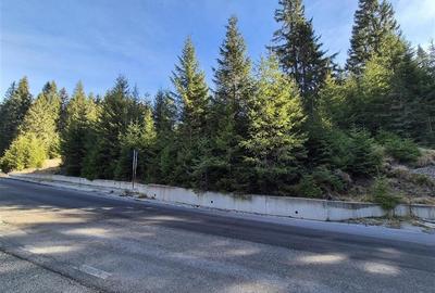 Vanzare Teren 2500 mp.Moroeni - 1