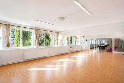 Spațiu comercial, de 319 mp, în Periferie - 1