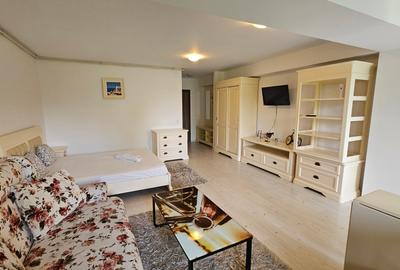 Garsoniera zona Otopeni (Aeroport) bloc NOU, Mobilata-Utilata MODERN - 24