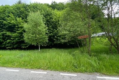 Teren intravilan de 2750 mp, în Brebina - 8