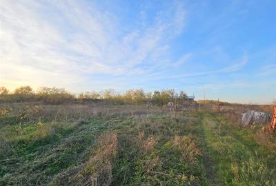 Teren agricol extravilan de 10000 mp, în 9 Mai - 3