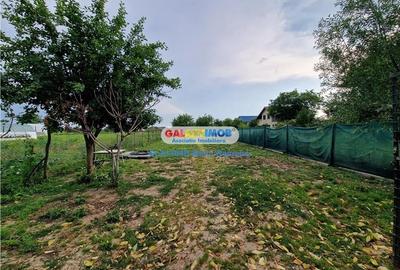 Casa de vacanta, toate utilitatile, 1600 mp teren, Darasti-Vlasca - 18