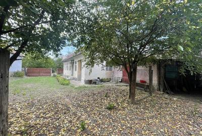 Casa cu gradina Petrisat - 1