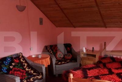 Casa de vacan?a in Piatra Fantanele + 4,5 arii teren - 9