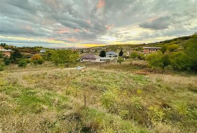 TEREN INTRAVILAN, 950 MP, ZONA PALEU, STRADA PADURII - 1