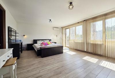 Vanzare vila P+1+M  Sinesti Ialomita  Balta Mostistea - 17