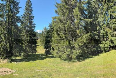 Teren intravilan 250 mp, Arieseni - Partie Ski - 1